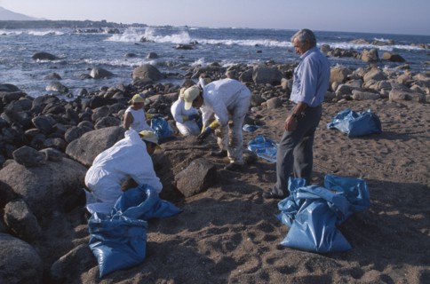 SPAIN, Galicia, Costa da Morte, Cleaning squads removing oil from rocky coastline one year after