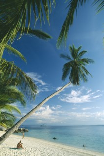 MALAYSIA, Terengganu, Perhentian Besar, Quiet sandy beach with overhanging palm trees and