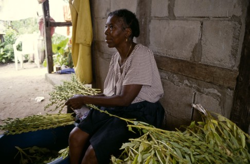 FRENCH GUIANA, General, Woman sitting sorting sesame seeds.