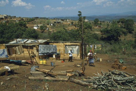 SOUTH AFRICA, Mpumalanga, Near Graskop, Wooden family homes with vegetable gardens.