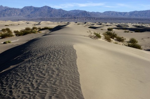 USA, California, Death Valley, View along the ridge of a sand dune in the desert landscape with a