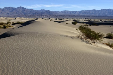 USA, California, Death Valley, View over sand dunes in the desert landscape with a rocky horizon in