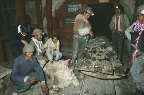 BOLIVIA, Industry, Ormo tin mine.  Miners with llama prepared for sacrifice.