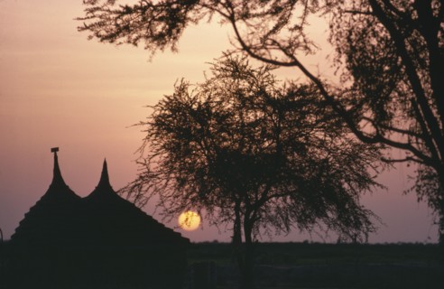 SUDAN, South, Dinka huts silhouetted at sunset.