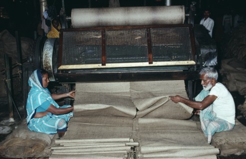 INDIA, West Bengal, Calcutta, Male and female workers in Fort Gloster jute mill drawing out lengths