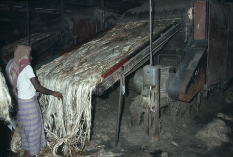 INDIA, West Bengal, Calcutta, Male worker in Fort Gloster jute mill feeding raw jute on to
