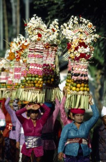 INDONESIA, Bali, Mengwi, Women carrying towers of fruit and flower offerings at Mengwi Festival.