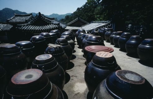 SOUTH KOREA, South Kyongsan, Haeinsa, Kimchi pots containing pickled cabbage eaten as part of every