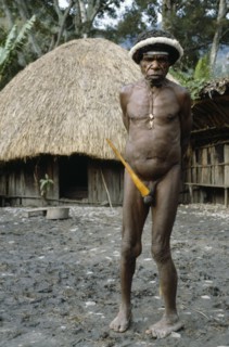 INDONESIA, Irian Jaya, Baliem Valley, Akima Village.  Dani tribesman wearing penis gourd.