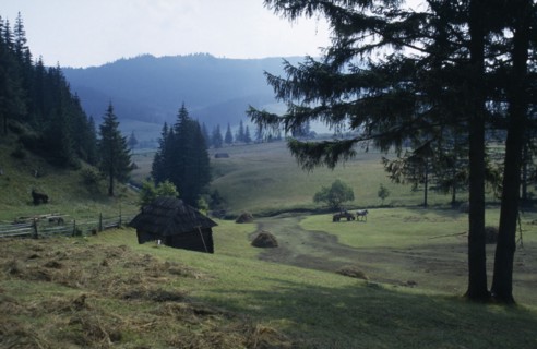 ROMANIA, Transylvania, Carpathian Mountains.