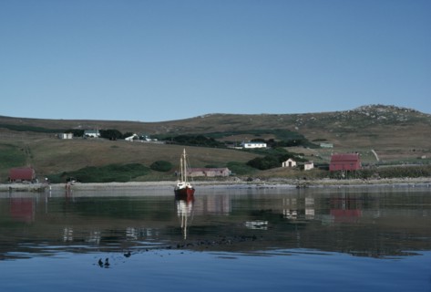 FALKLAND ISLANDS, West Point Island, View over the settlement.