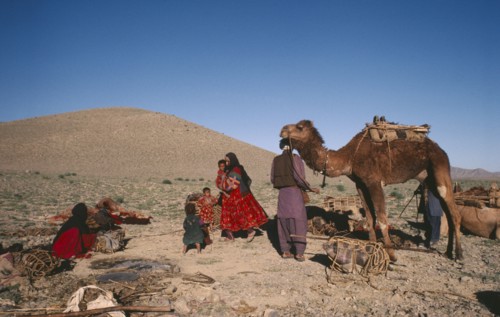 AFGHANISTAN, Nomadic LIfestyle, Nomad family with camel preparing to move.