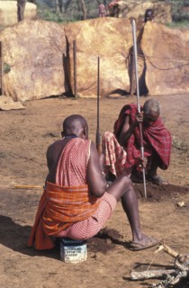 KENYA, Kajiado, Maasai elders prepare the ground for a meat feast  which is part of the initiation