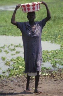 KENYA, , A woman collecting water from a lake source. Contaminated water sources are the leading