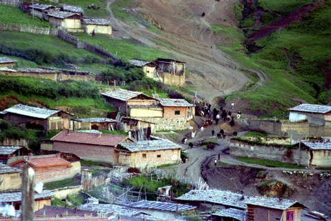 CHINA, Gansu, Langmusi, Aerial view over the towns rooftops with herd of  Yaks moving through the