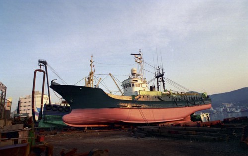 SOUTH KOREA, Pusan, View of ships in for repair at the dry docks