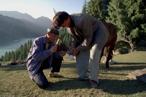 CHINA, Xinjiang, Tianchi, Heavenly Lake. Two men shoeing a horse near the lakeside