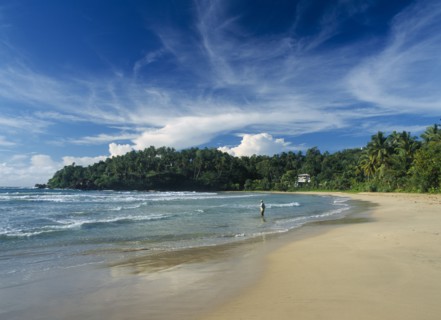 SRI LANKA, Pallikkudawa, Quiet sandy beach fringed with palm trees on the south coast with
