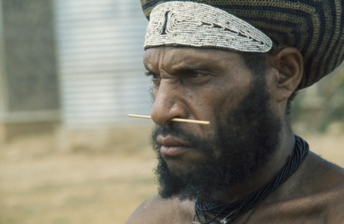 PAPAU NEW GUINEA, Body Decoration, Portrait of a Melpa warrior with nasal piercing and beaded