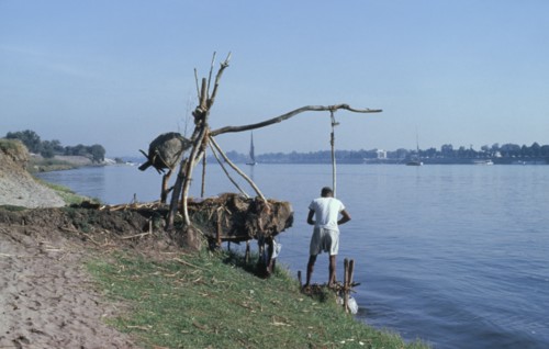EGYPT, River Nile, Shadouf irrigation.