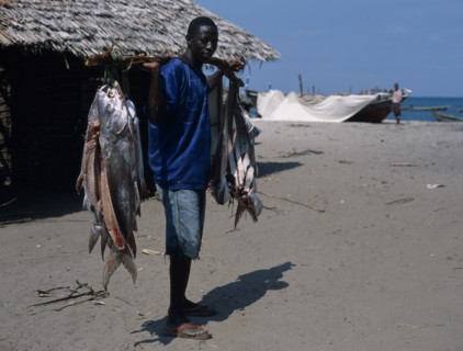 TANZANIA, Pangani, Fisherman standing on the beach with some of his days catch