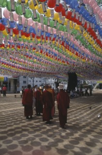 SOUTH KOREA, Seoul, Jogyesa Temple.  Canopy of paper lanterns and prayer streamers hung to