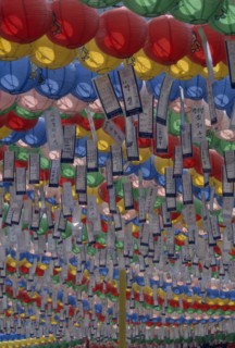 SOUTH KOREA, Seoul, Jogyesa Temple.  Canopy of paper lanterns and prayer streamers hung to
