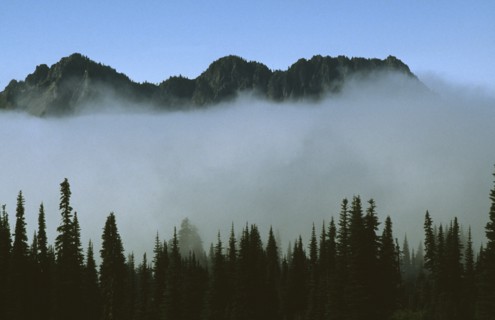 USA, Washington State, Mount Rainier National Park, Mount Ranier Peaks above the clouds with row of