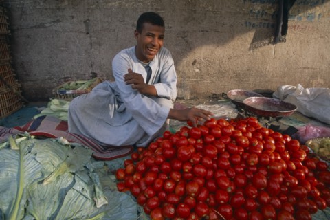 EGYPT, Nile Valley, Luxor, Smiling young man selling tomatoes.