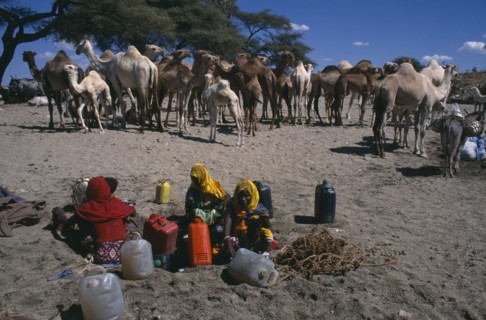 ERITREA, Barentu, Adi Keshi, Camels at well and women with water containers.