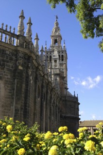 SPAIN, Andalucia, Seville, Exterior view of the cathedral wall and La Giralda Tower