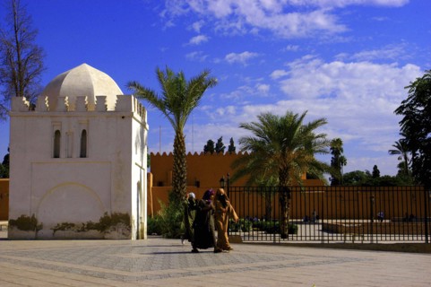 MOROCCO, Marrakech, White building surrounded by palms