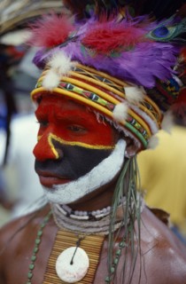 PAPUA NEW GUINEA, Tribal People, Eastern Highlander with head dress made of dyed chicken feathers