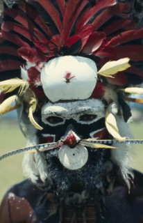 PAPUA NEW GUINEA, People, Men, Highland warrior