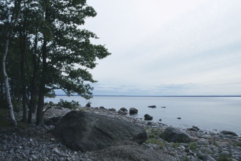 ESTONIA, Lahemaa Nat. Park, Baltic coastal landscape.