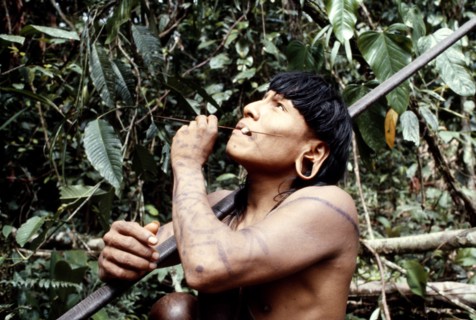 ECUADOR, Upper Amazon, People, Waorani Indian hunter with blowpipe and poison dart