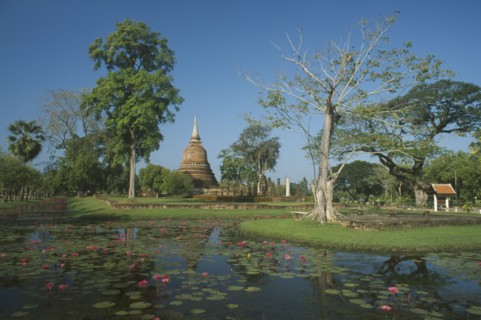 THAILAND, Bangkok Area, Sukhothai, View over lotus flowers on stream with chedi in background at