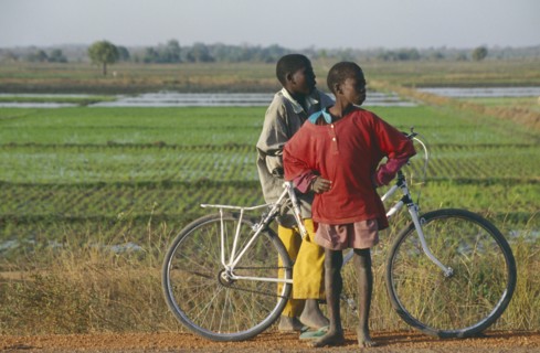 BURKINA FASO, Bobo Dioulassou, Two boys with a bicycle with paddy field behind.