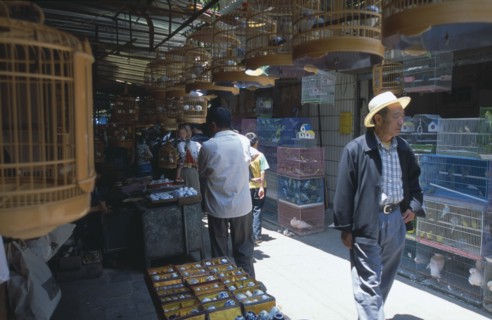 CHINA, Yunnan , Kunming, A man wearing a hat walking through a alley way in a Bird and Flower