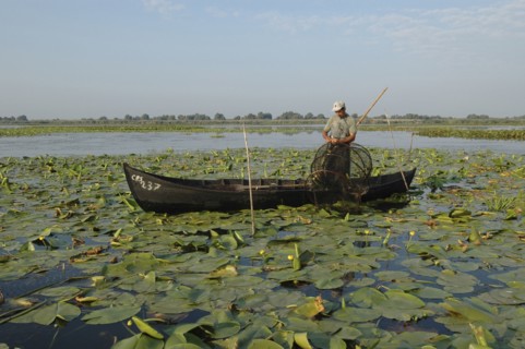 ROMANIA, Tulcea, Danube Delta Biosphere Reserve, Professional fisherman in canoe on Lake Isac