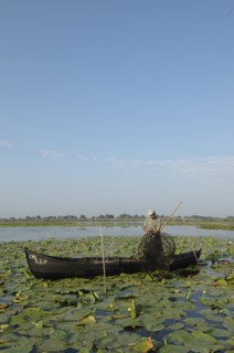 ROMANIA, Tulcea, Danube Delta Biosphere Reserve, Professional fisherman in canoe on Lake Isac