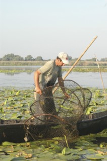 ROMANIA, Tulcea, Danube Delta Biosphere Reserve, Professional fisherman in canoe on Lake Isac