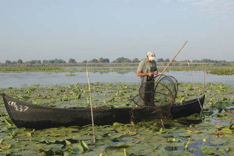ROMANIA, Tulcea, Danube Delta Biosphere Reserve, Professional fisherman in canoe on Lake Isac