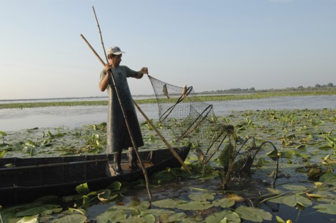 ROMANIA, Tulcea, Danube Delta Biosphere Reserve, Professional fisherman in canoe on Lake Isac