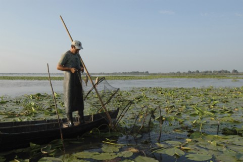 ROMANIA, Tulcea, Danube Delta Biosphere Reserve, Professional fisherman in canoe on Lake Isac