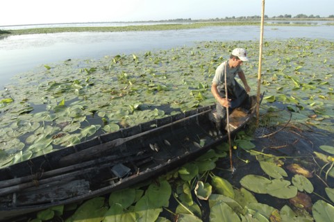 ROMANIA, Tulcea, Danube Delta Biosphere Reserve, Professional fisherman in canoe on Lake Isac