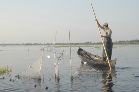 ROMANIA, Tulcea, Danube Delta Biosphere Reserve, Professional fisherman in canoe on Lake Isac