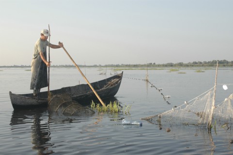 ROMANIA, Tulcea, Danube Delta Biosphere Reserve, Professional fisherman in canoe on Lake Isac