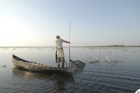ROMANIA, Tulcea, Danube Delta Biosphere Reserve, Professional fisherman in canoe on Lake Isac