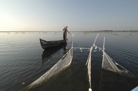 ROMANIA, Tulcea, Danube Delta Biosphere Reserve, Professional fisherman in canoe on Lake Isac